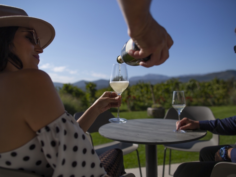 Wine Tasting Tour From Makarska